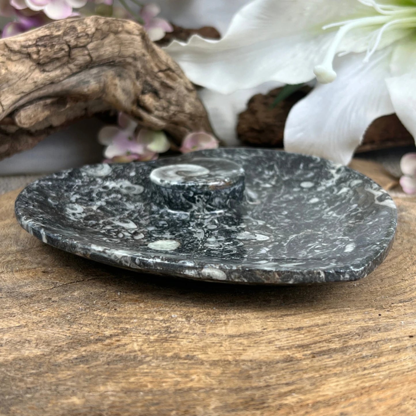 Image for ammoniet-orthoceras-fossiel-schaaltje-hartvorm_3.jpg