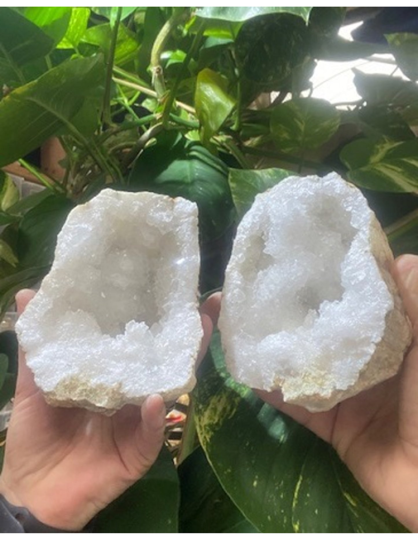 Image for bergkristal-geode-paar-10-12-cm_3.jpg