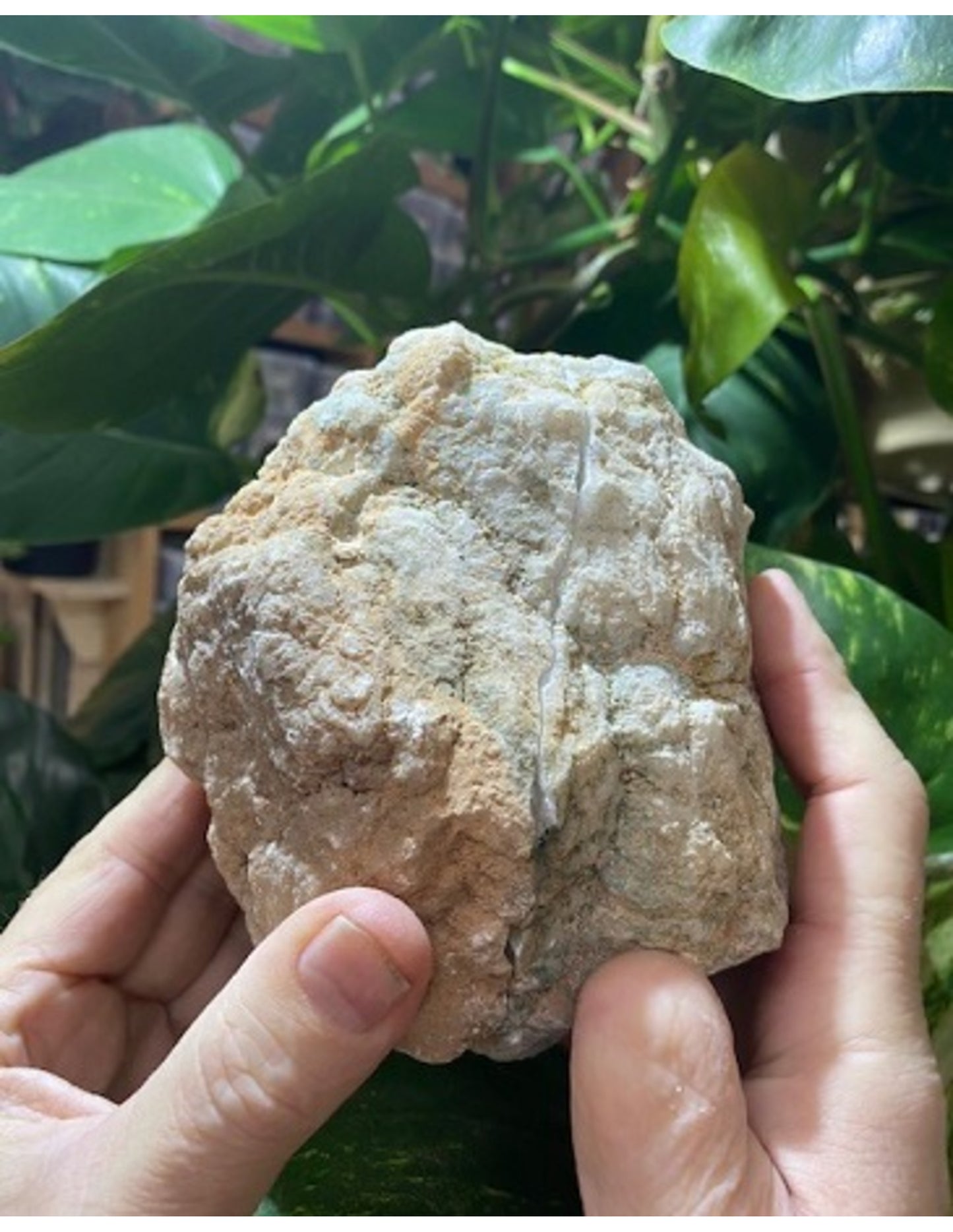 Image for bergkristal-geode-paar-10-12-cm_1.jpg