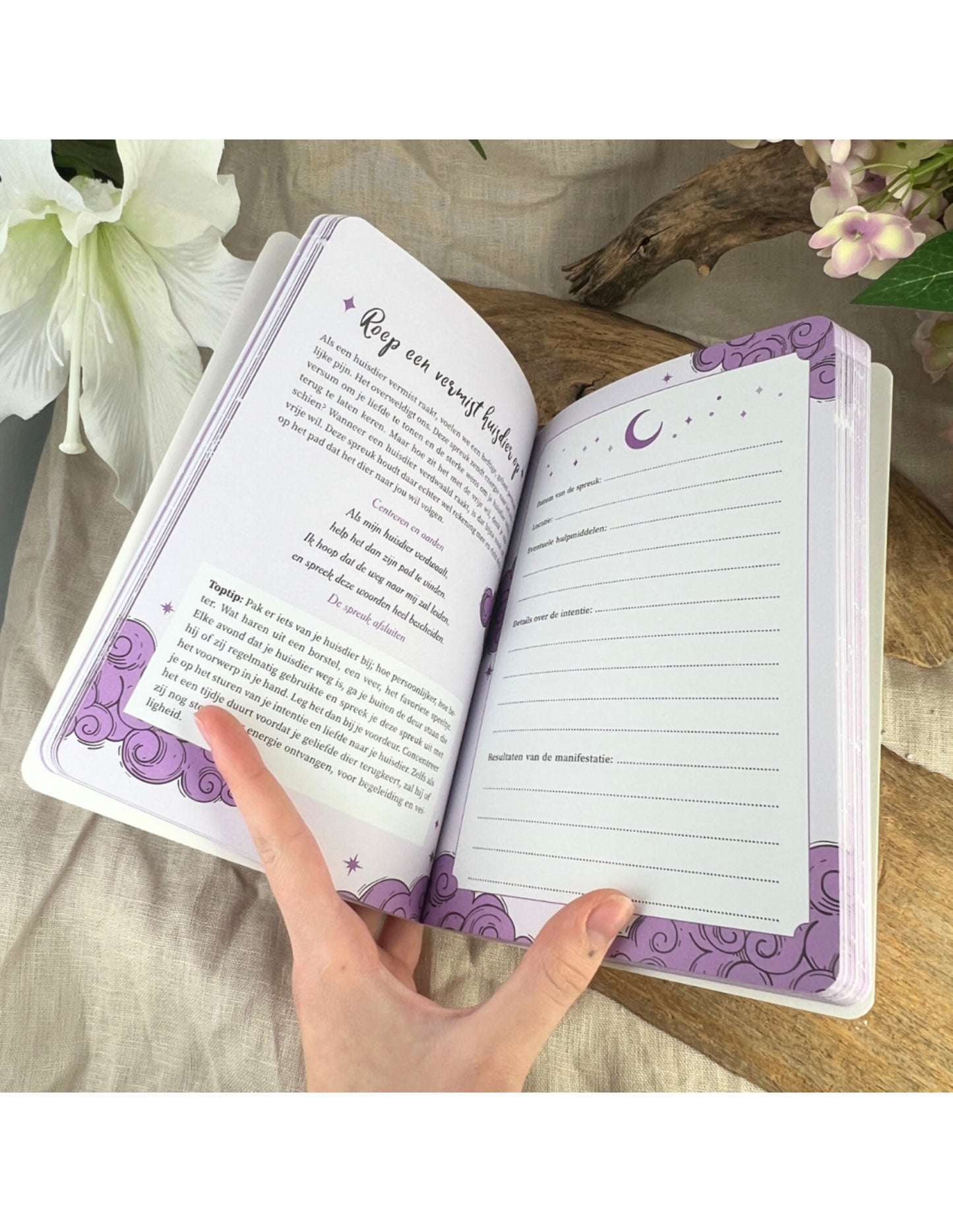 Image for boek-hocus-focus_1.jpg