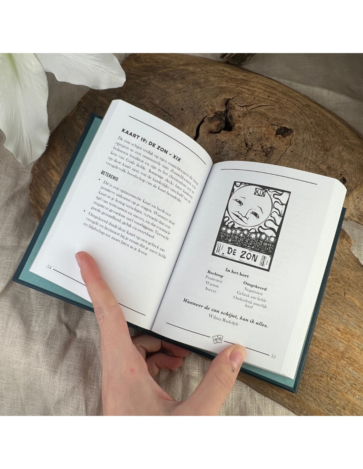 Image for boek-tarot-het-kleine-zakboek_1.jpg