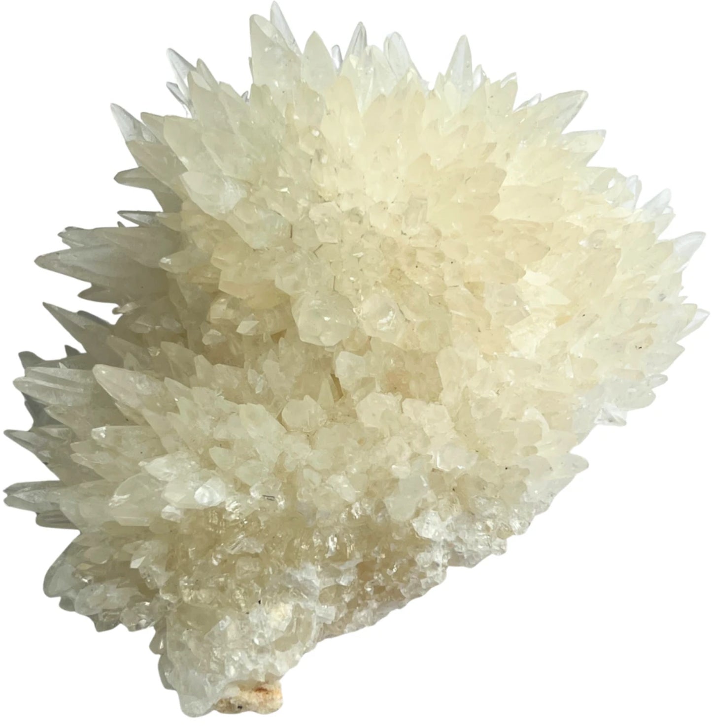 Image for calciet-cluster-wit-dogtooth-nr02.jpg
