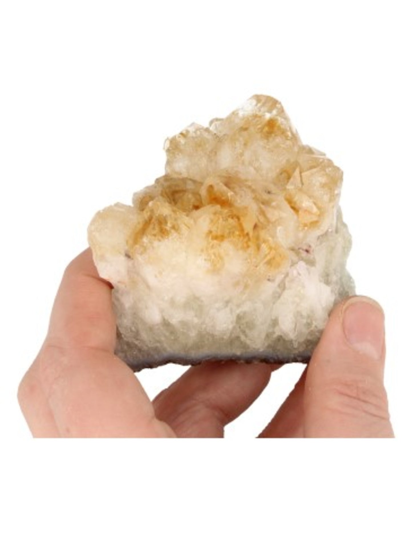 Image for citrien-brazili-ruw-300-350-gram-verhit_4.jpg