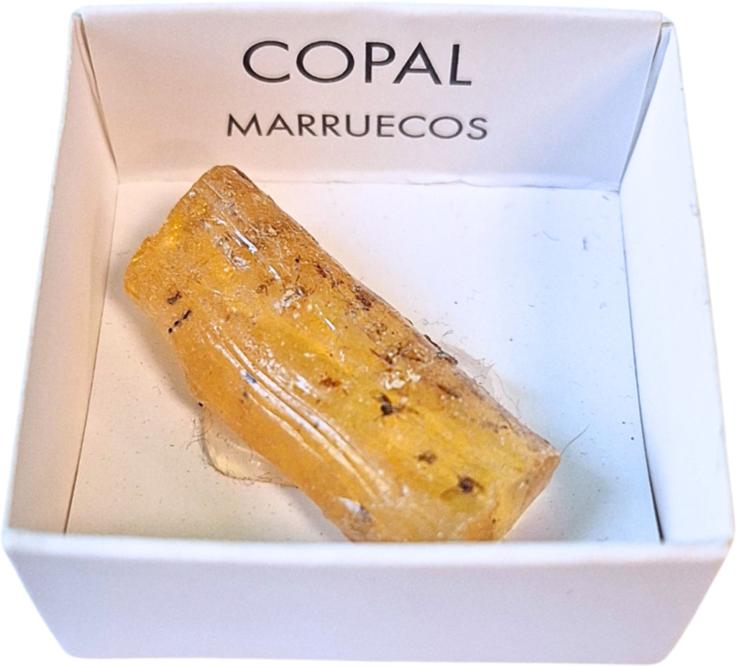 Image for doosje-copal.jpg