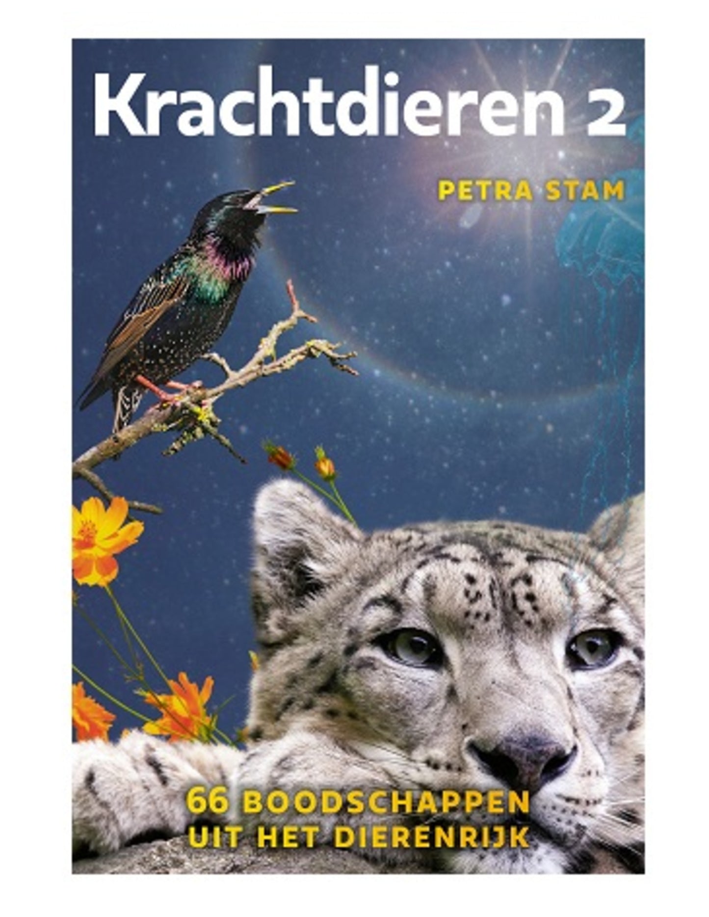 Image for krachtdieren-kaarten-set-2_1.jpg