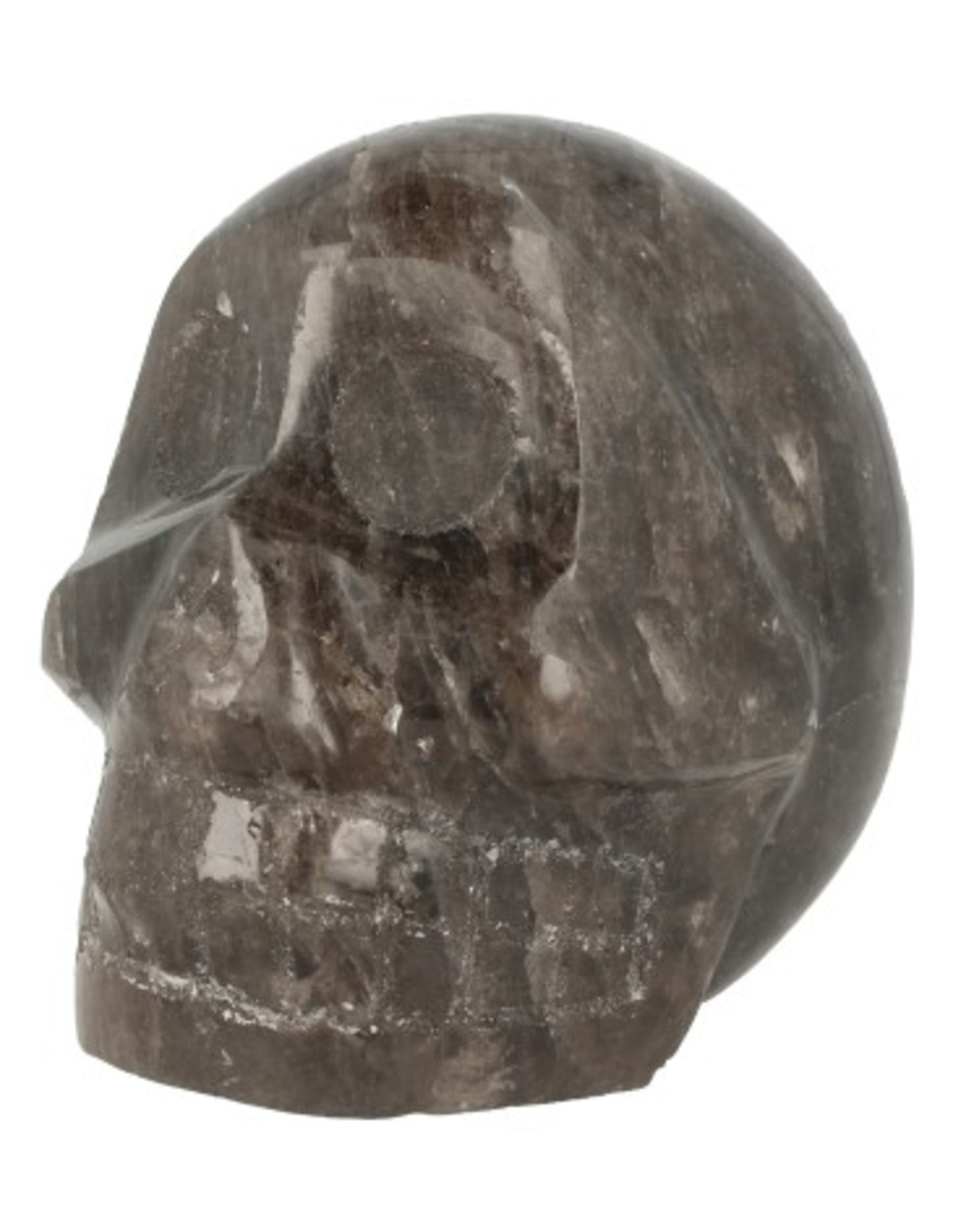 Image for rookkwarts-schedel-nr31.jpg