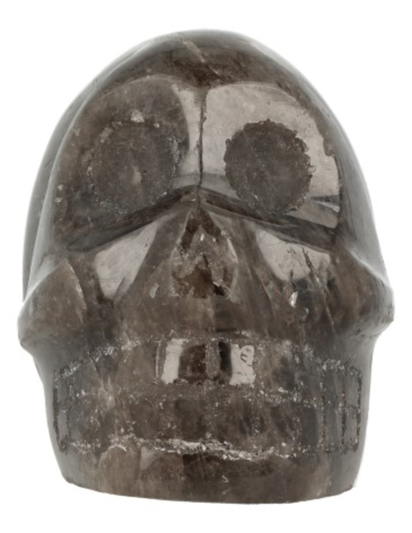 Image for rookkwarts-schedel-nr31_4.jpg