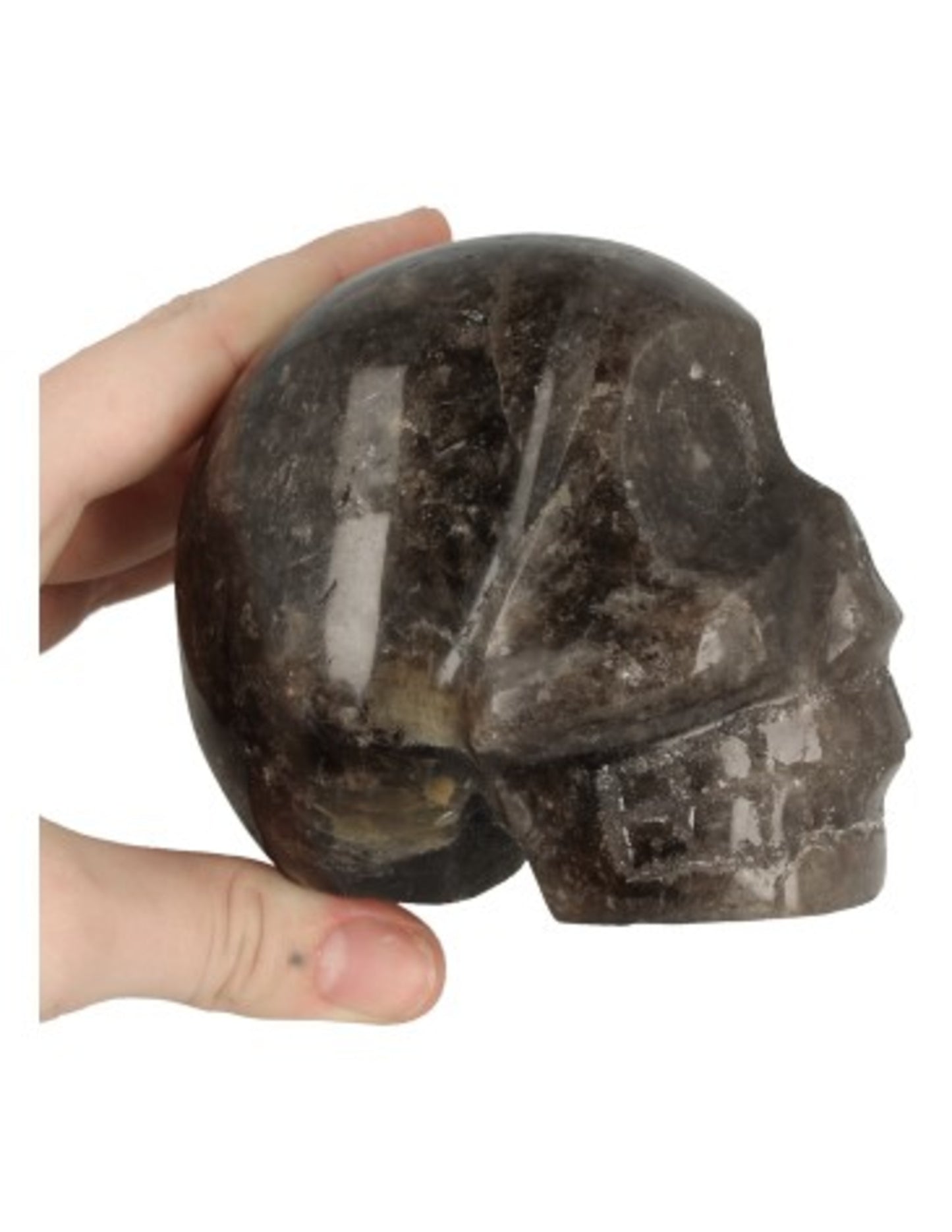 Image for rookkwarts-schedel-nr31_2.jpg