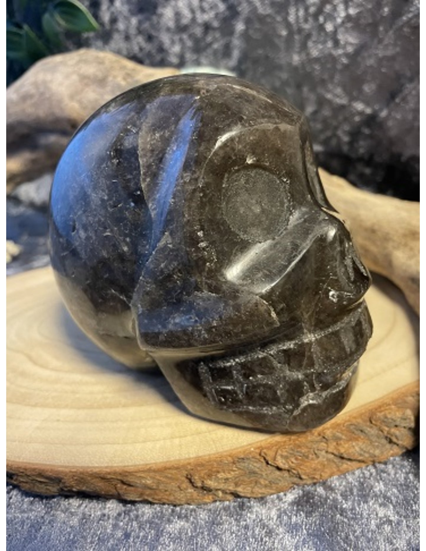 Image for rookkwarts-schedel-nr31_1.jpg