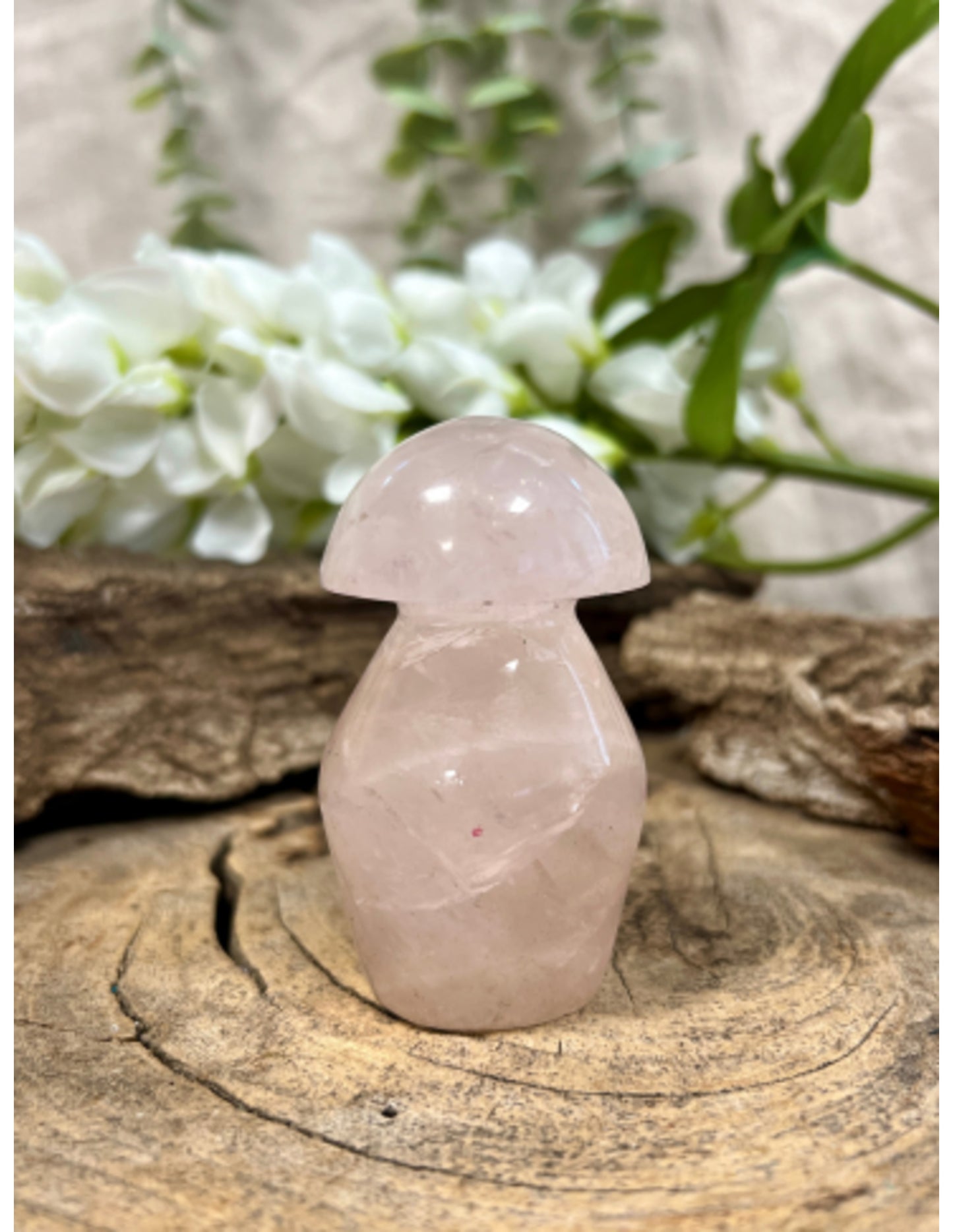 Image for roze-kwarts-edelsteen-paddenstoel-100-200-gram_3.jpg