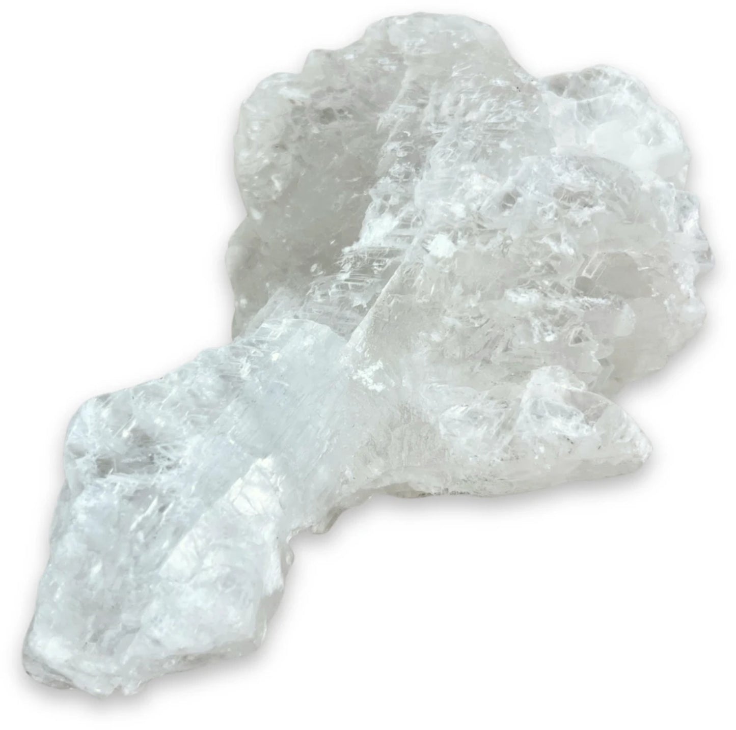 Image for seleniet-vissenstaart-ruw-nr04.jpg
