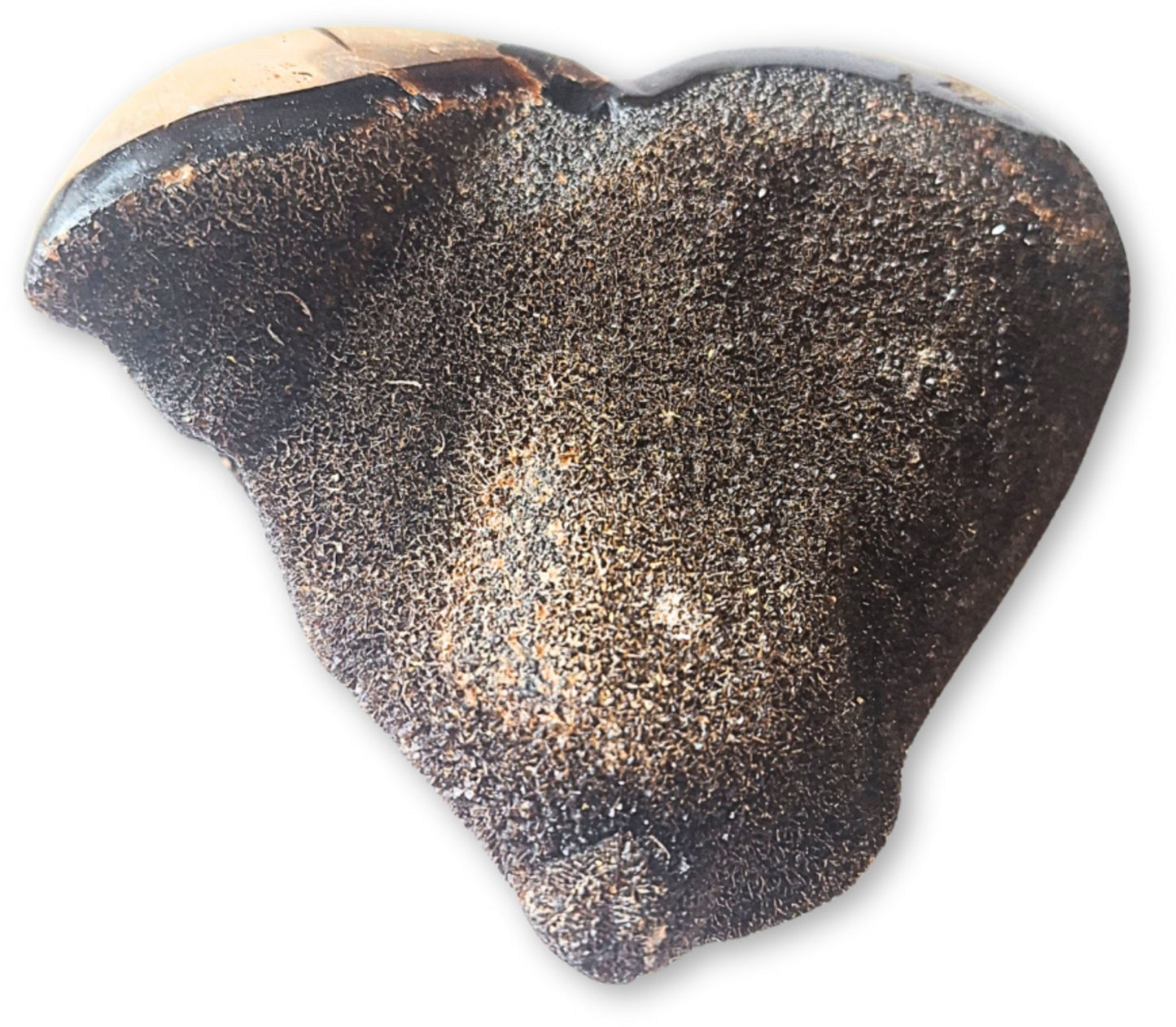 Image for septarie-wild-hart-nr06.jpg