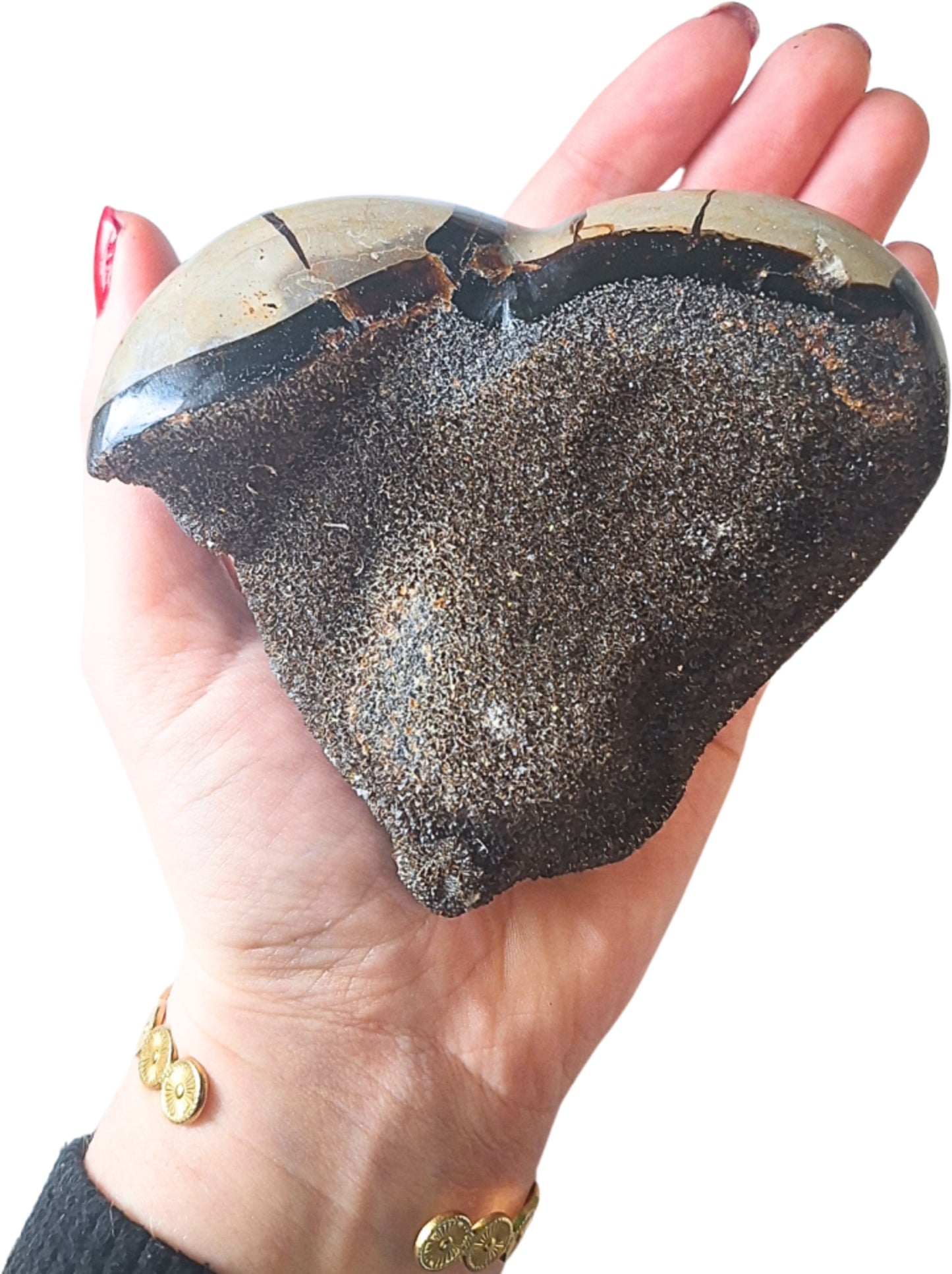 Image for septarie-wild-hart-nr06_2.jpg