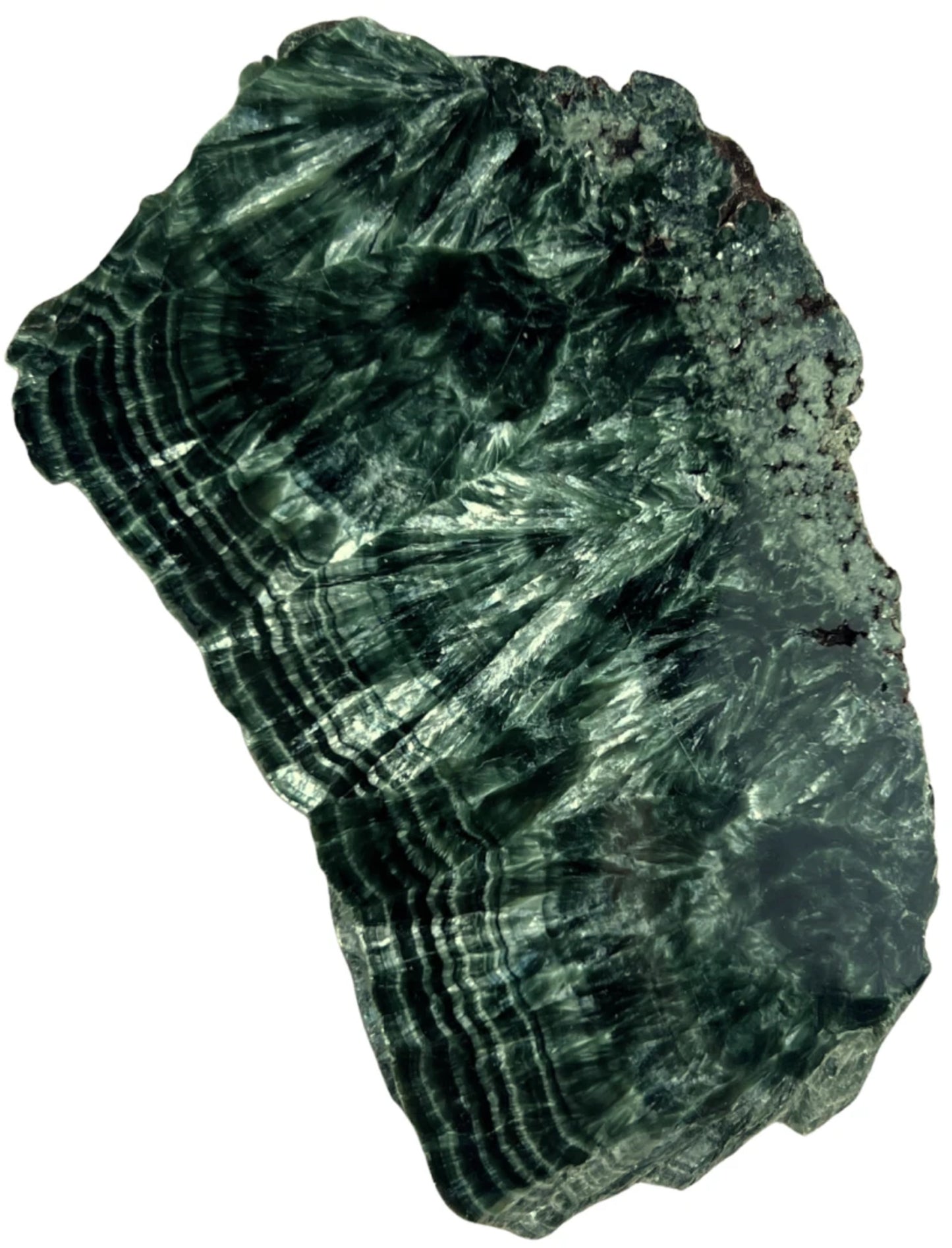 Image for seraphiniet-half-gepolijst-schijfje-nr08.jpg