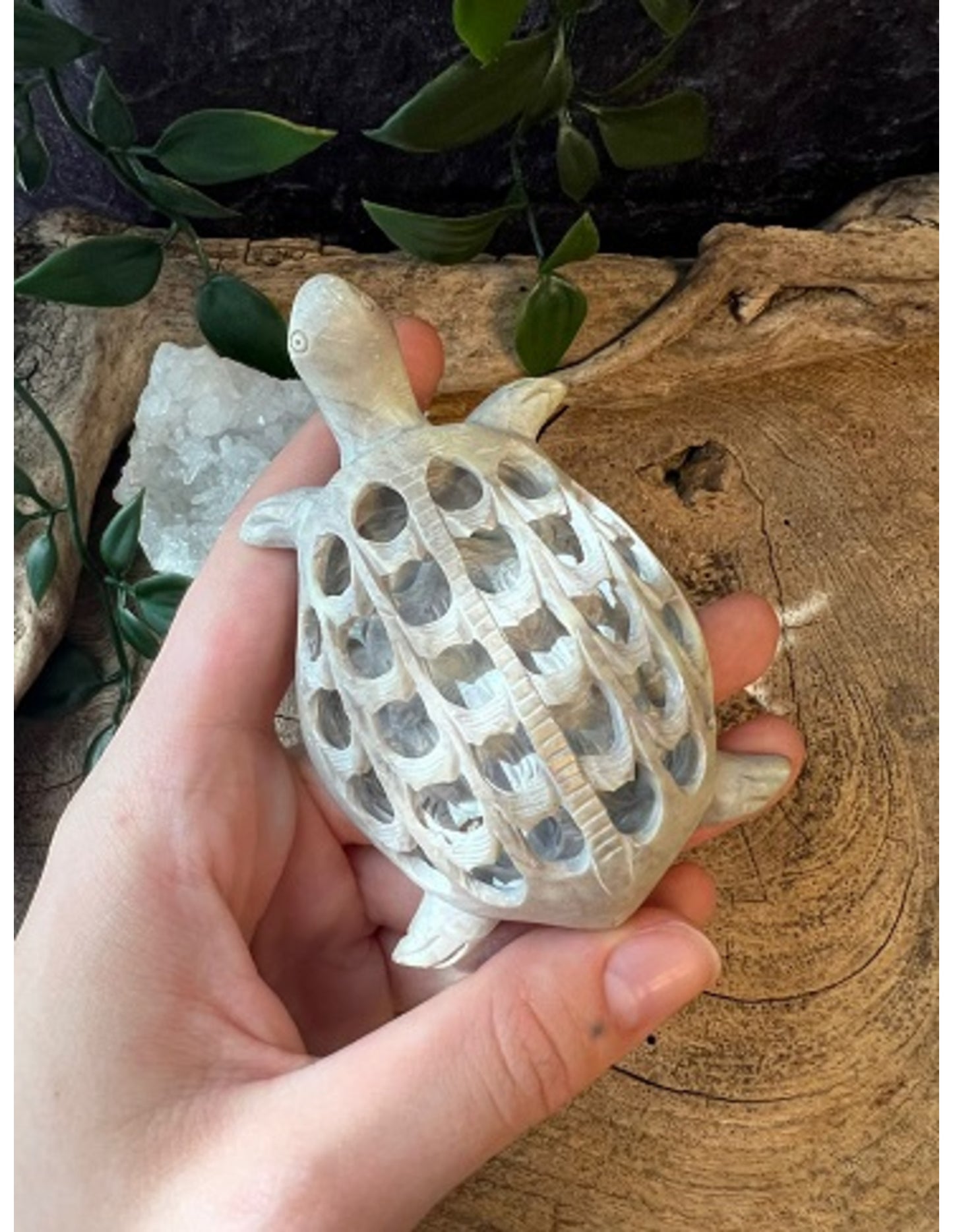Image for speksteen-waterschildpad-in-waterschildpad-95-cm_3.jpg