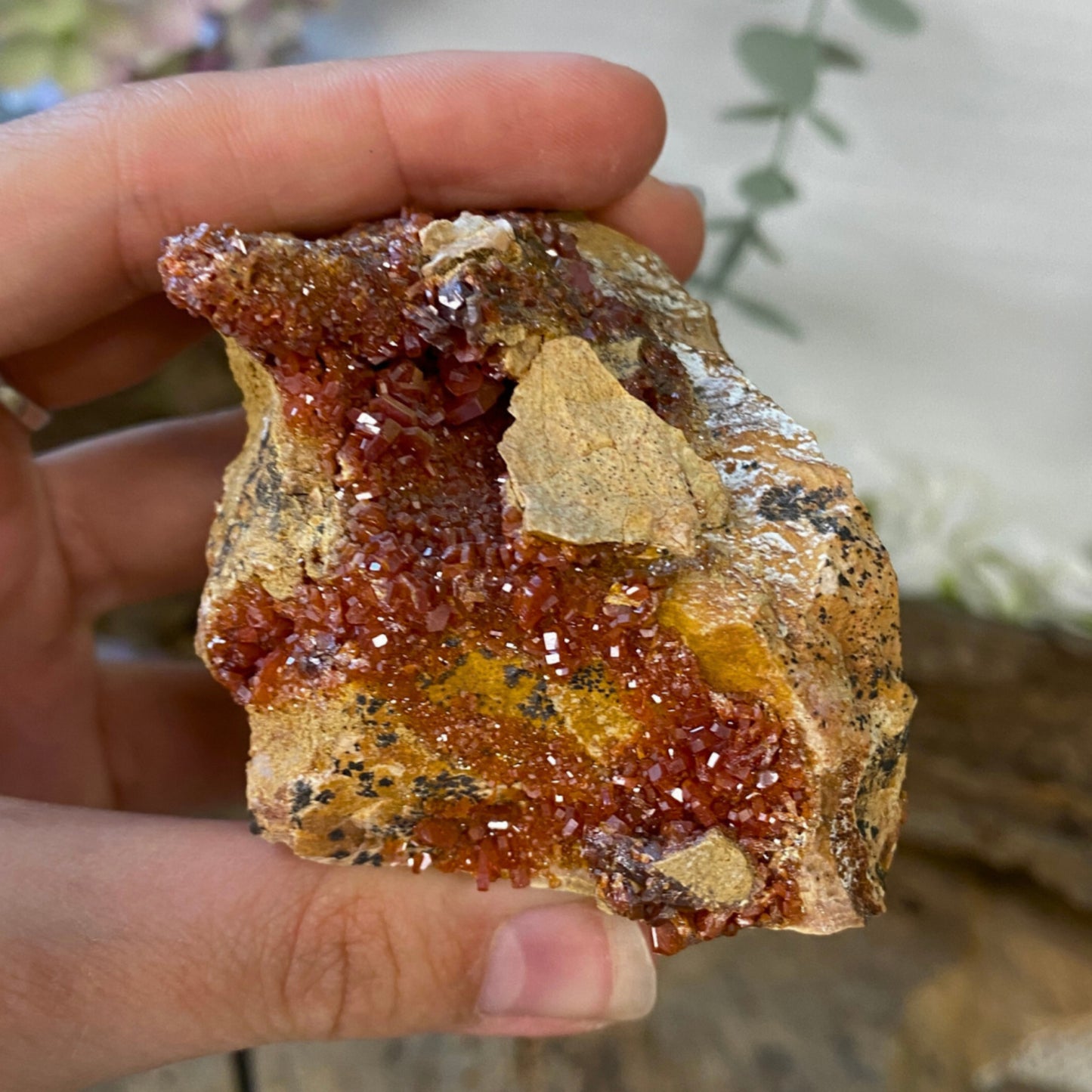 Image for vanadeniet-a-ruw-nr10_1.jpg