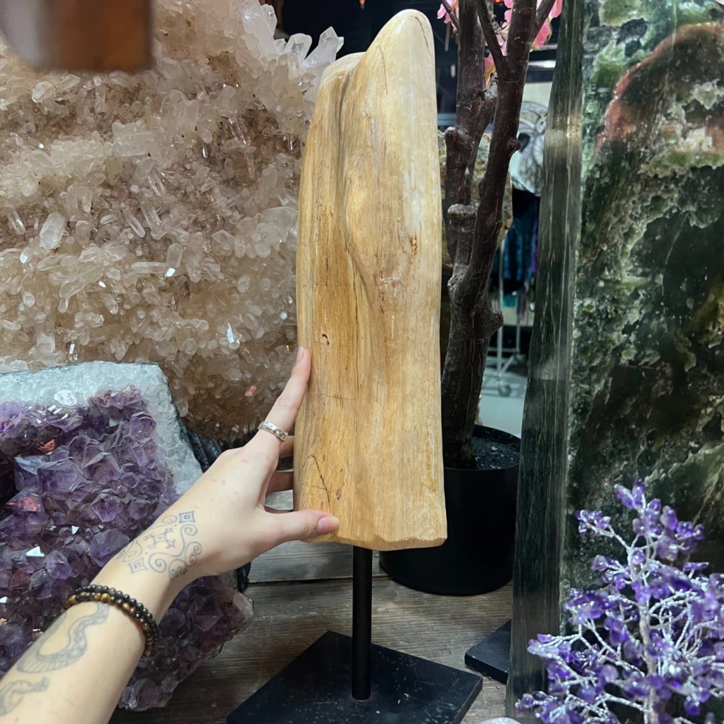 Image for versteend-hout-sculptuur-op-voet-nr5303_1.jpg