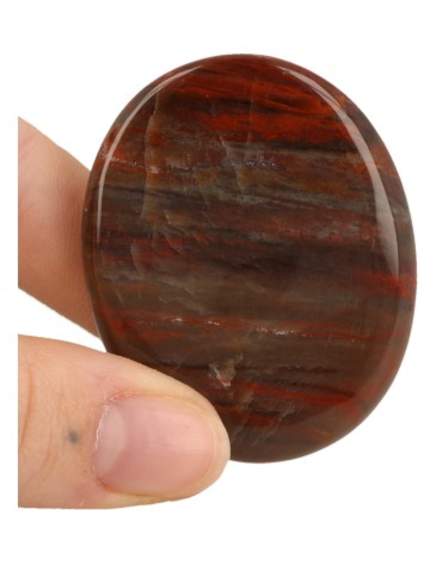 Image for versteend-hout-zaksteen-madagaskar_1.jpg