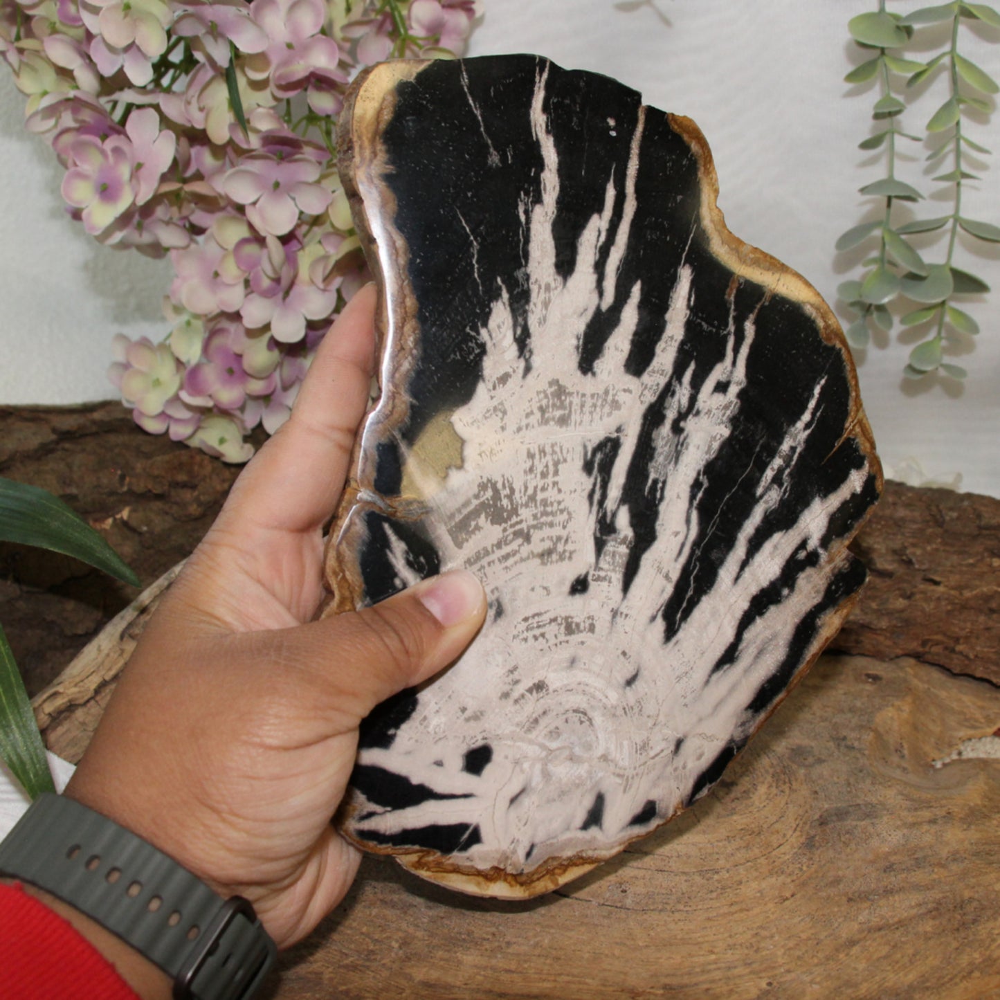 Image for versteend-houten-schijf-skelet-nr51-pst_1.jpg