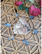 Image for aqua-aura-gridzakje-6-st-maxi-gecoat_1.jpg