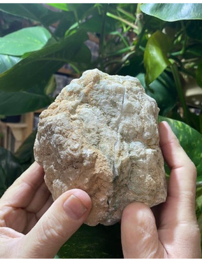 Image for bergkristal-geode-paar-10-12-cm_1.jpg