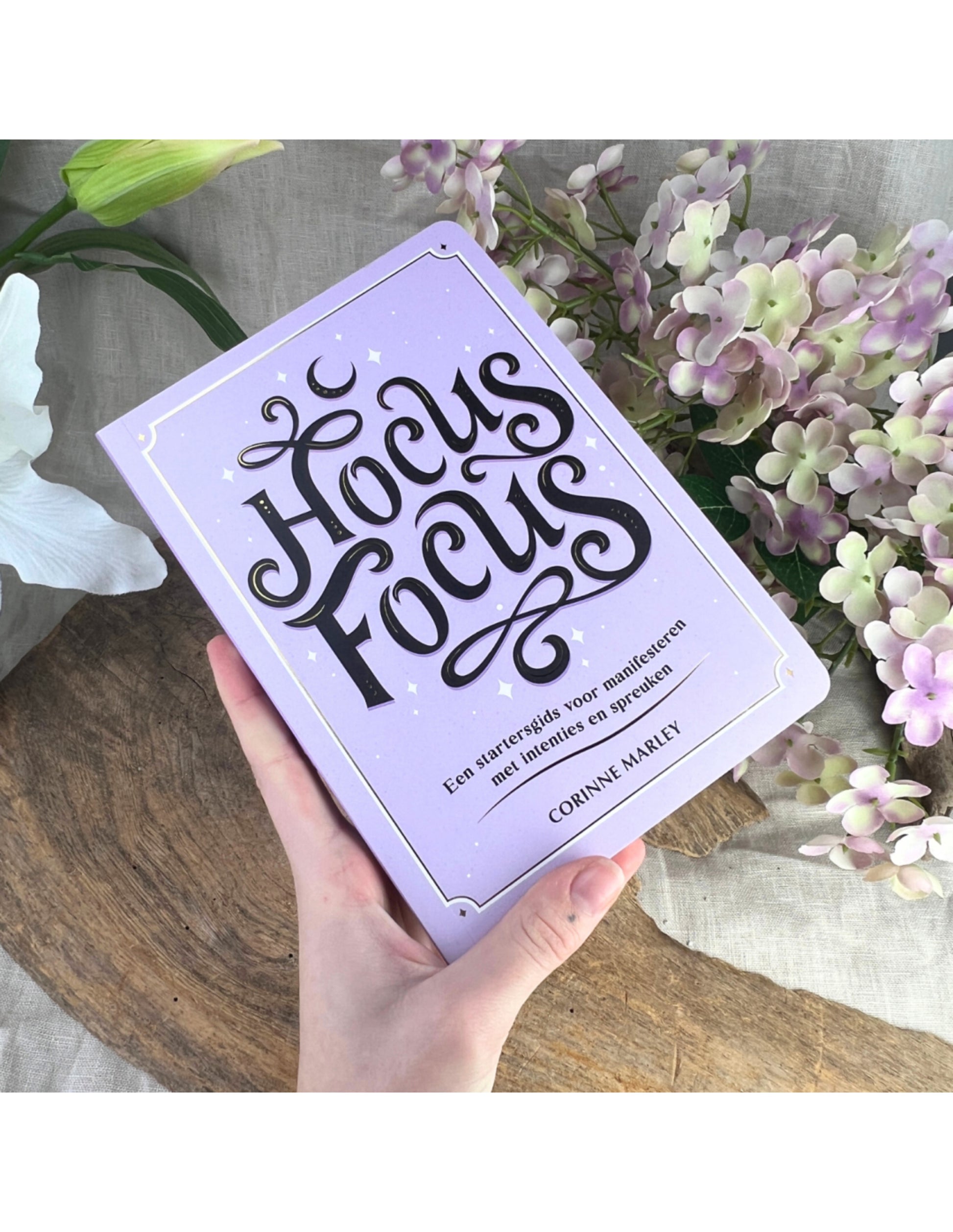 Image for boek-hocus-focus_3.jpg