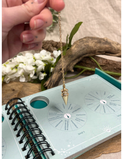 Image for boek-pendelset_1.jpg