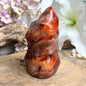 Image for carneool-feng-shui-vlam-nr14_3.jpg