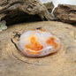 Image for carneool-handsteen-nr11_3.jpg