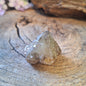 Image for cerussiet-ruw-nr346_3.jpg