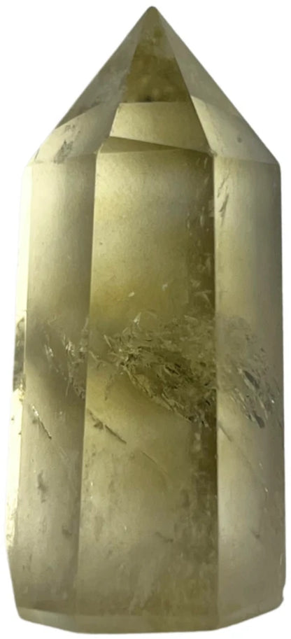 Image for citrien-puntje-verhit-20-30-gram.jpg