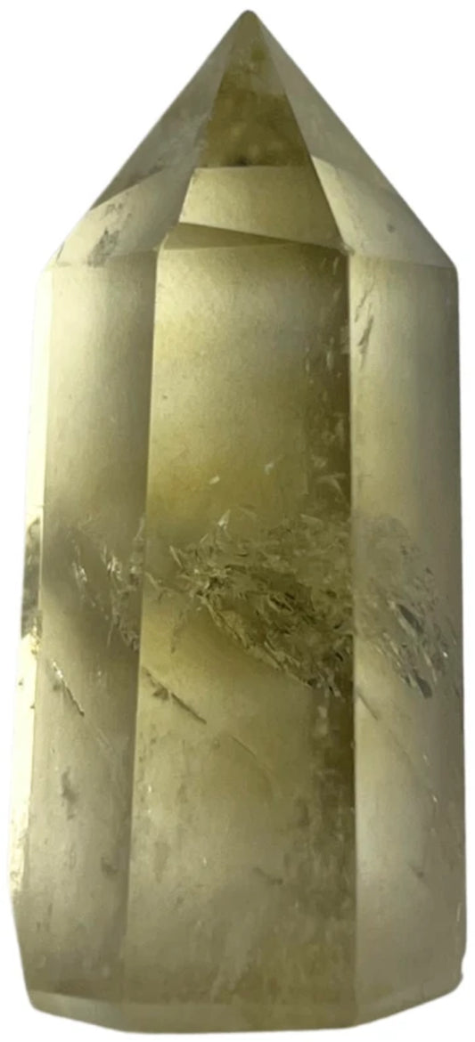 Image for citrien-puntje-verhit-20-30-gram.jpg