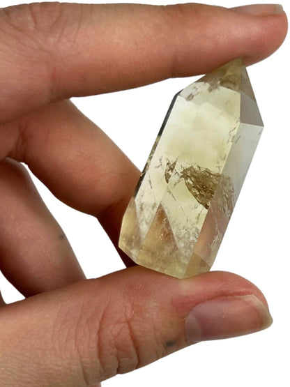 Image for citrien-puntje-verhit-20-30-gram_2.jpg