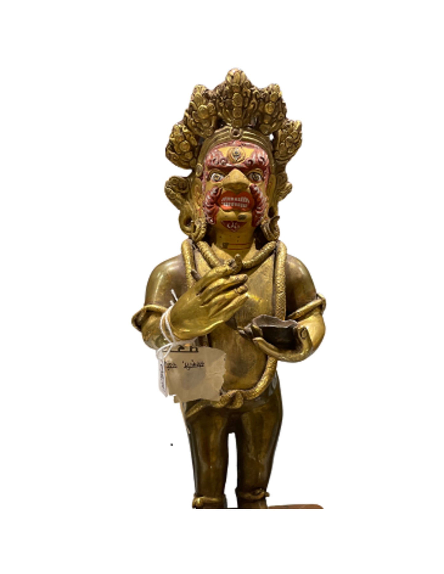 Image for dharmapala-goldface-beeld.jpg