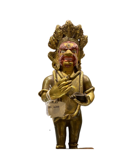 Image for dharmapala-goldface-beeld.jpg