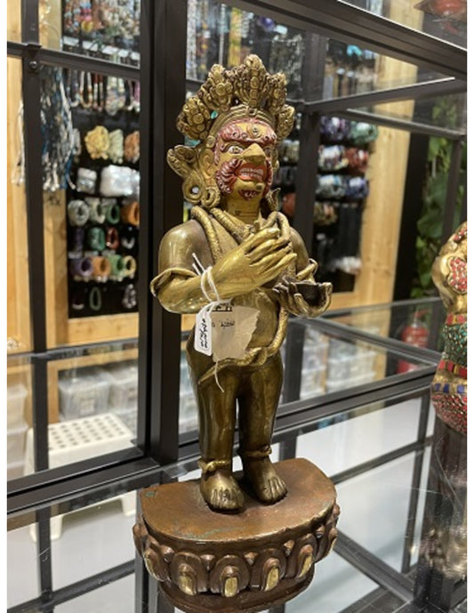 Image for dharmapala-goldface-beeld_1.jpg