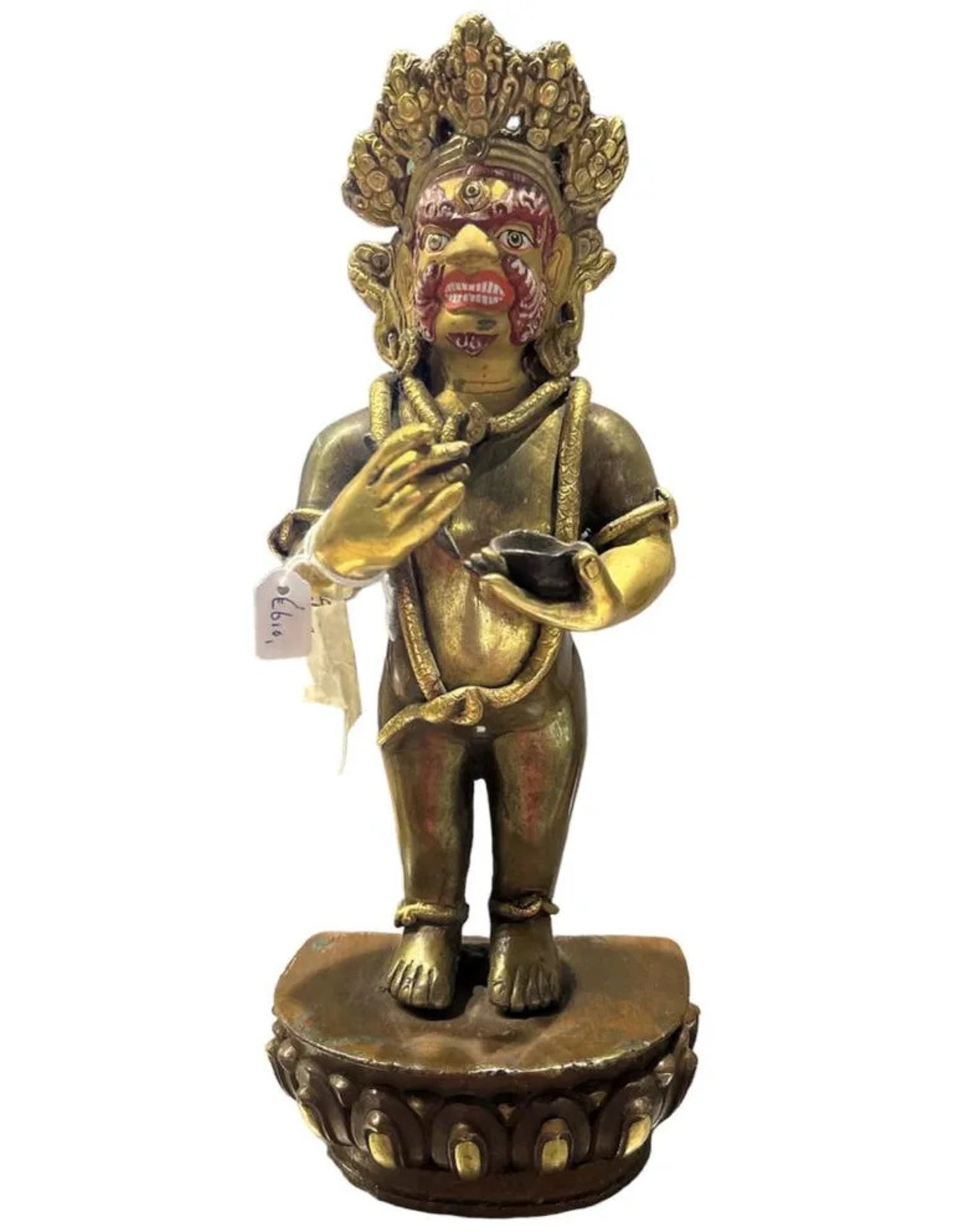 Image for dharmapala-goldface-beeld_4.jpg