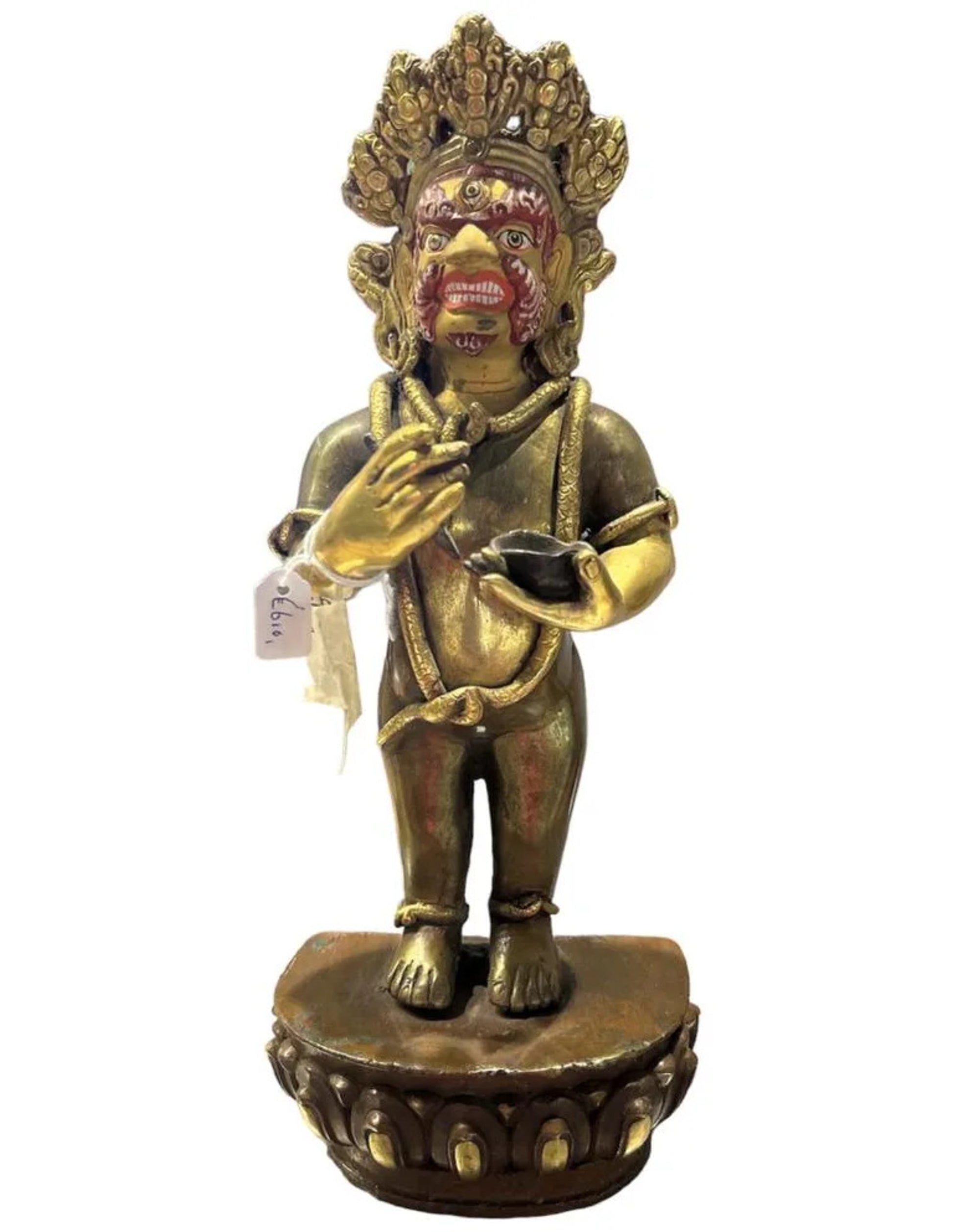 Image for dharmapala-goldface-beeld_4.jpg