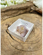 Image for doosje-cactuskwarts-middel_3.jpg