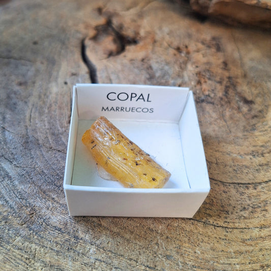 Image for doosje-copal_3.jpg