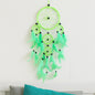 Image for dromenvanger-22cm-groen-veren_1.jpg