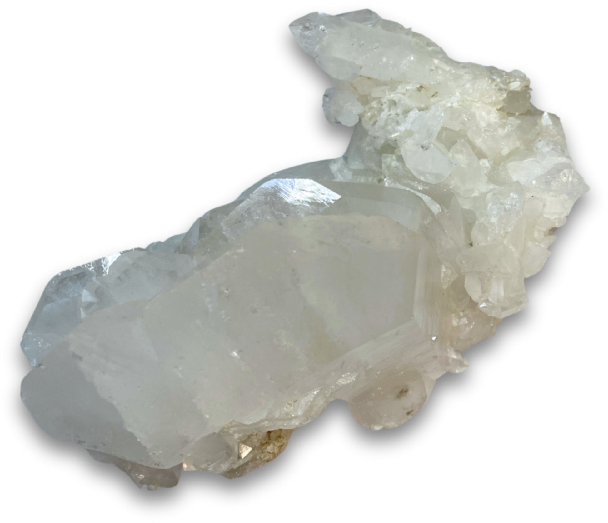 Image for fadenkwarts-ruw-cluster-nr09.jpg