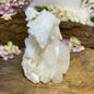 Image for fadenkwarts-ruw-cluster-nr09_3.jpg