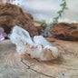 Image for fadenkwarts-ruw-nr12_3.jpg