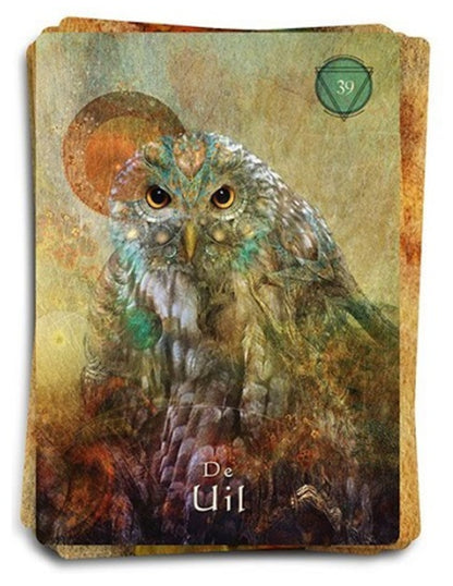 Image for het-mystieke-sjamanen-orakel-kaarten-set_4.jpg