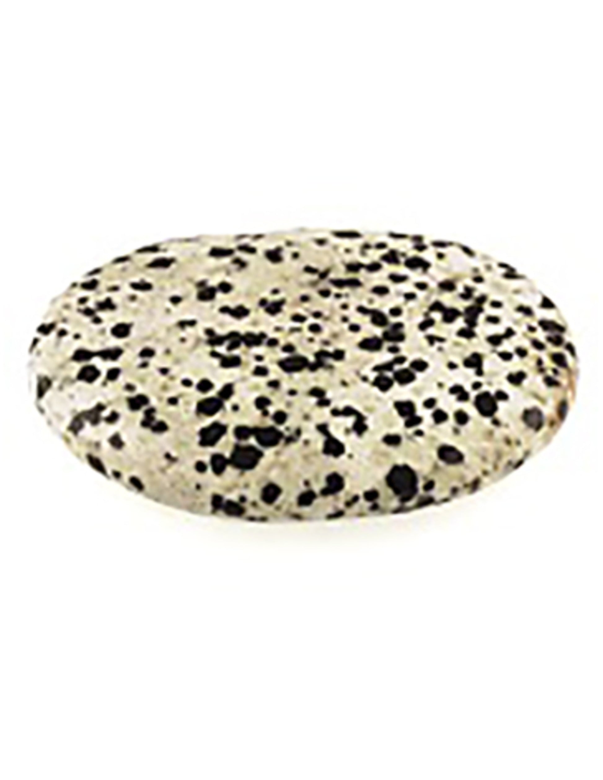 Image for jaspis-dalmatir-zaksteen.jpg