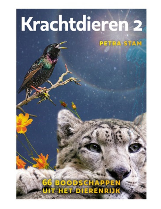 Image for krachtdieren-kaarten-set-2.jpg