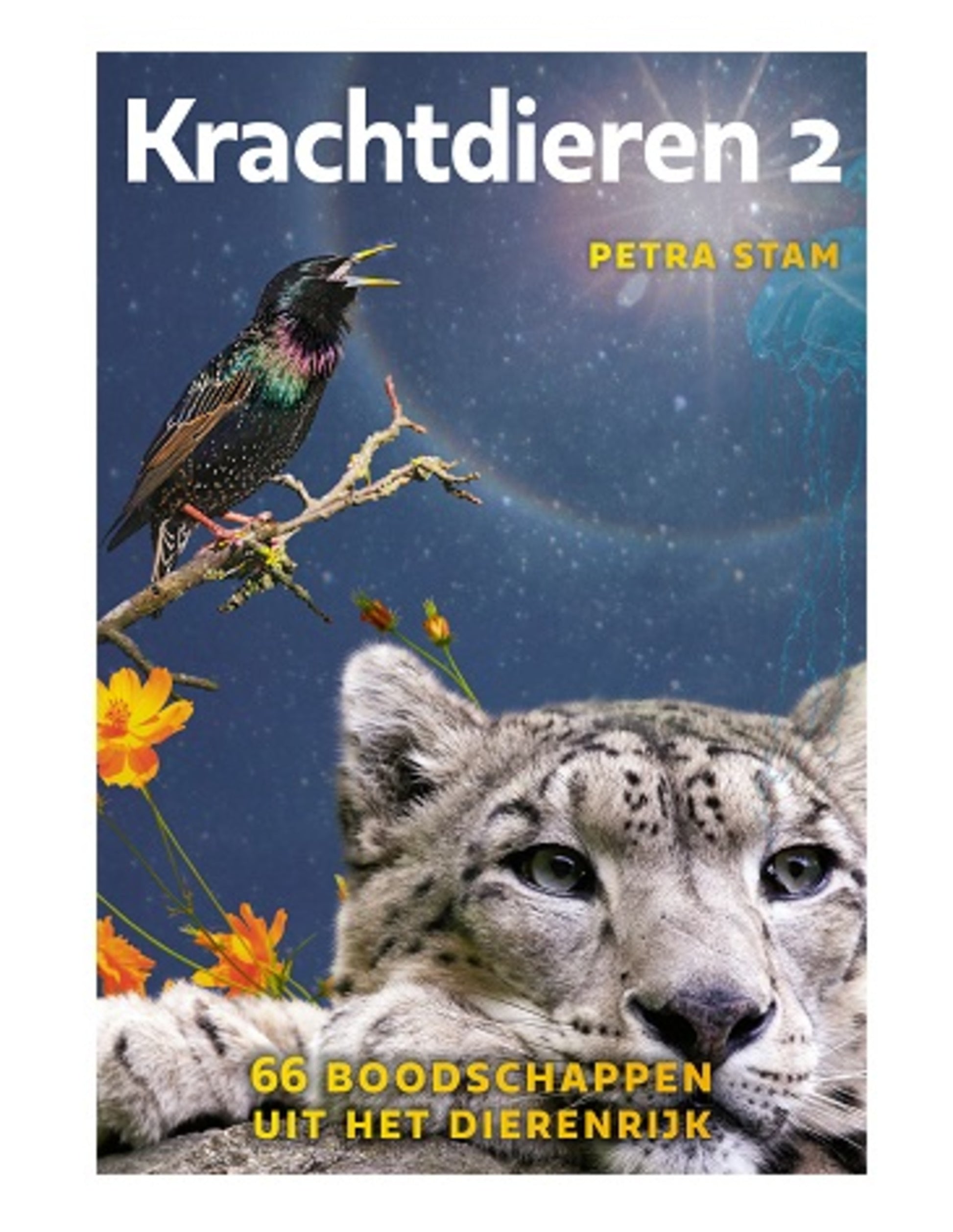 Image for krachtdieren-kaarten-set-2_1.jpg