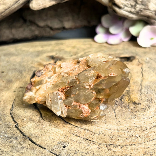 Image for kundalini-citrien-ruw-natuur-nr27_3.jpg