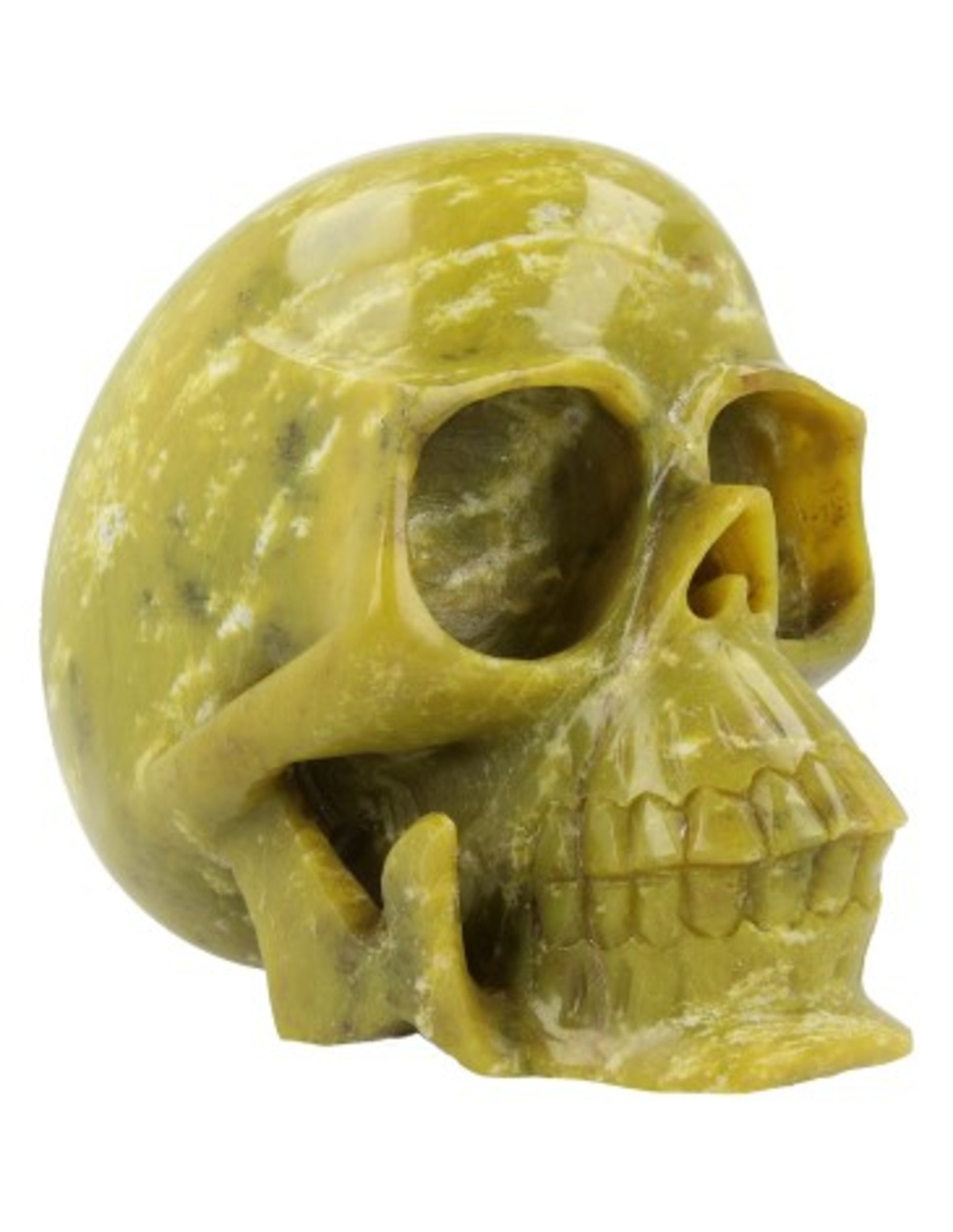 Image for nefriet-schedel.jpg